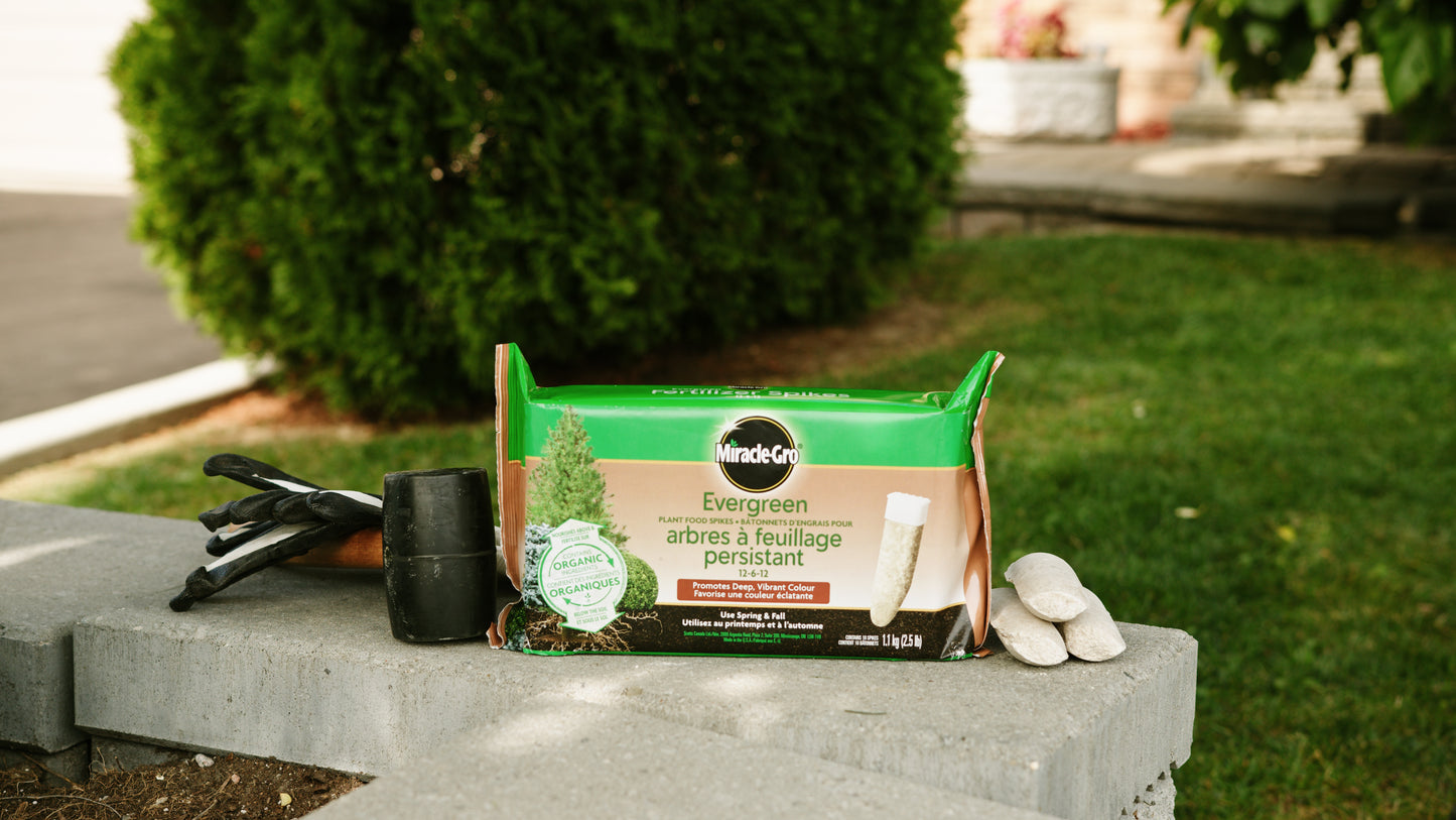 Miracle-Gro Evergreen Fertilizer Spikes 12-6-12 10-Pack