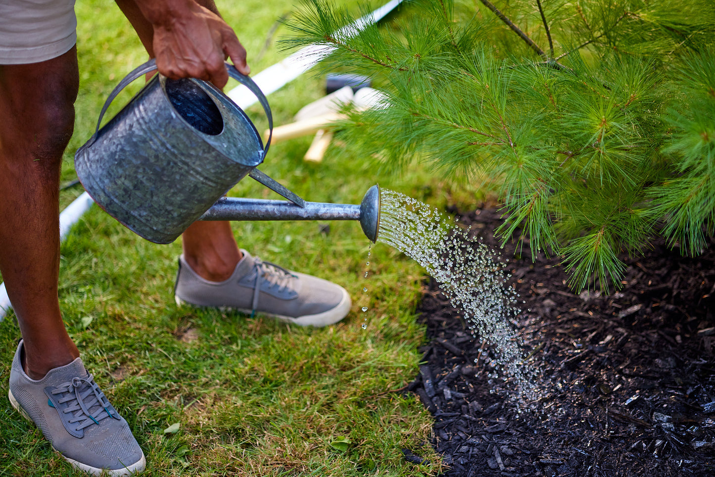 Miracle-Gro Evergreen Fertilizer Spikes 12-6-12 10-Pack