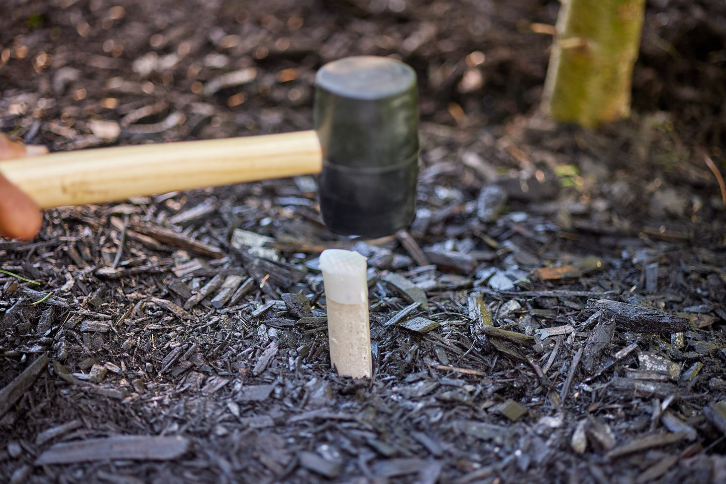 Miracle-Gro Evergreen Fertilizer Spikes 12-6-12 10-Pack