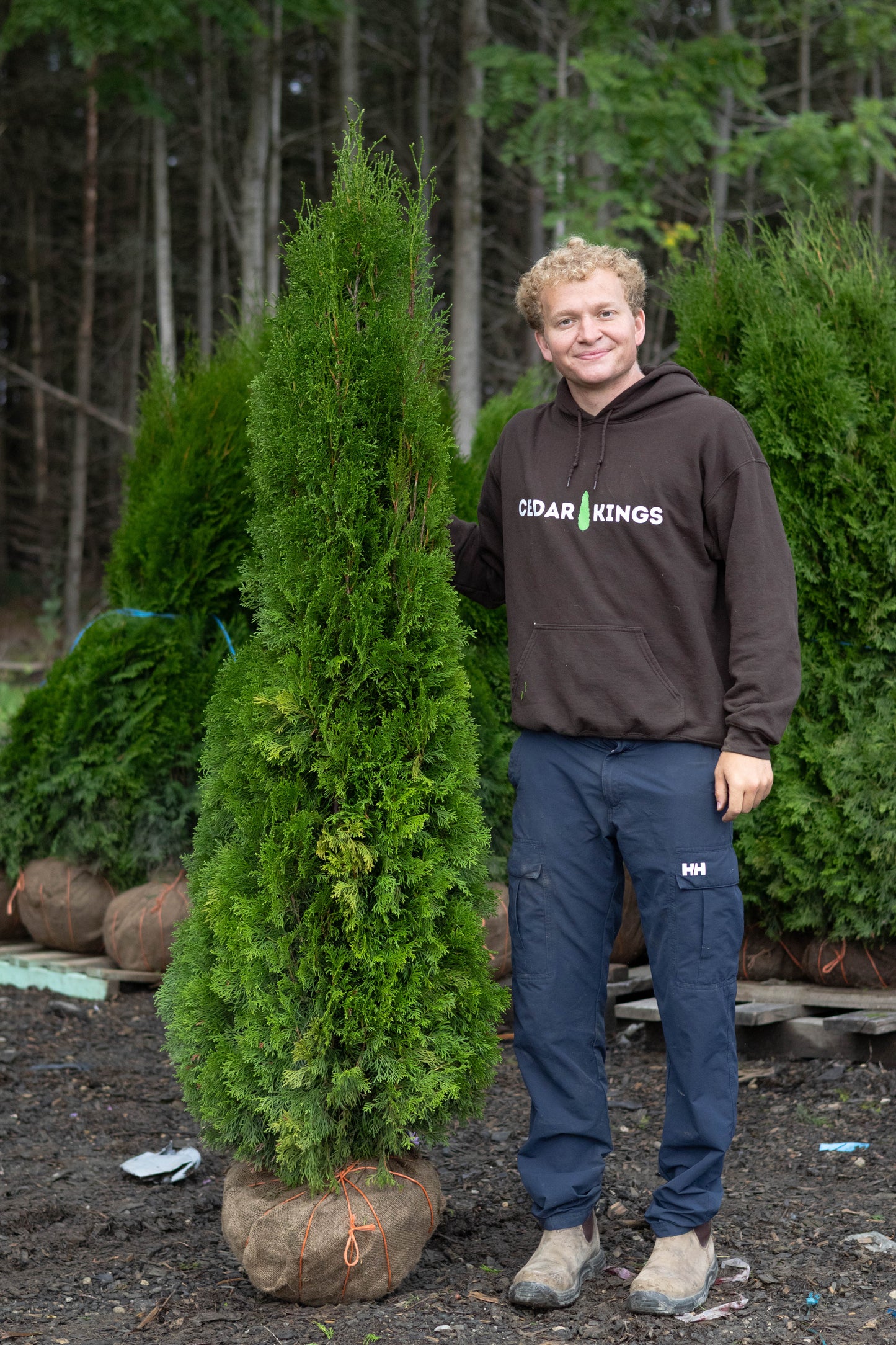 Emerald Cedars